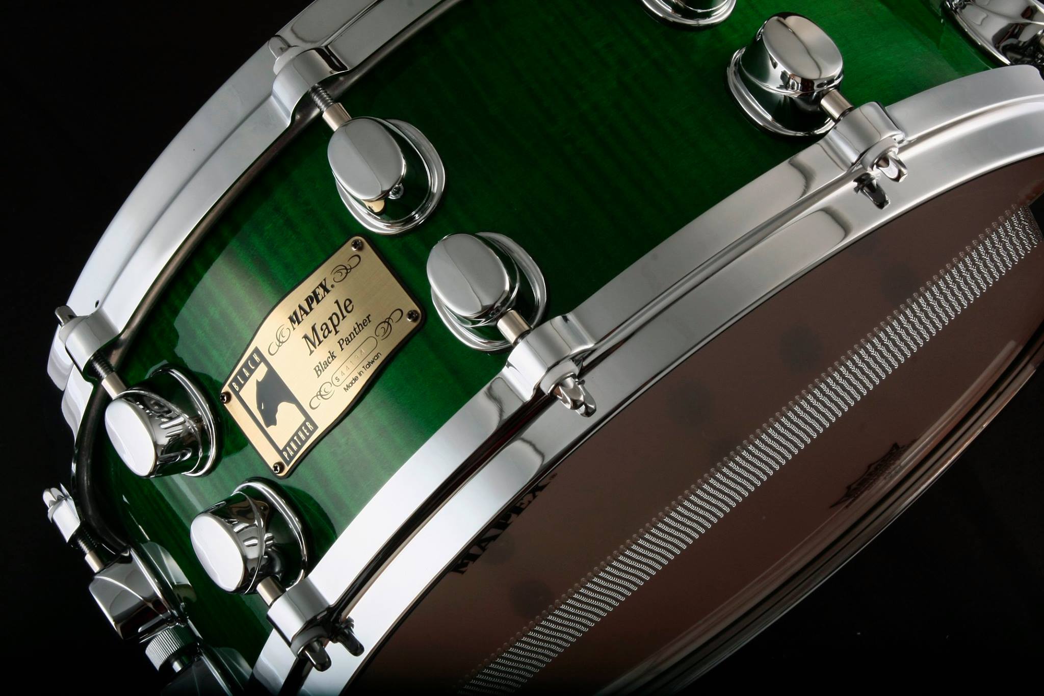 14 x 5.5 Flamed Maple Green "Golden Week" Snare Japan Only