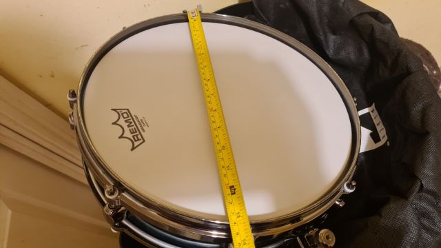 13"x3.5" Deep Forest Vavona Burlwood. Photo - David O'Grady