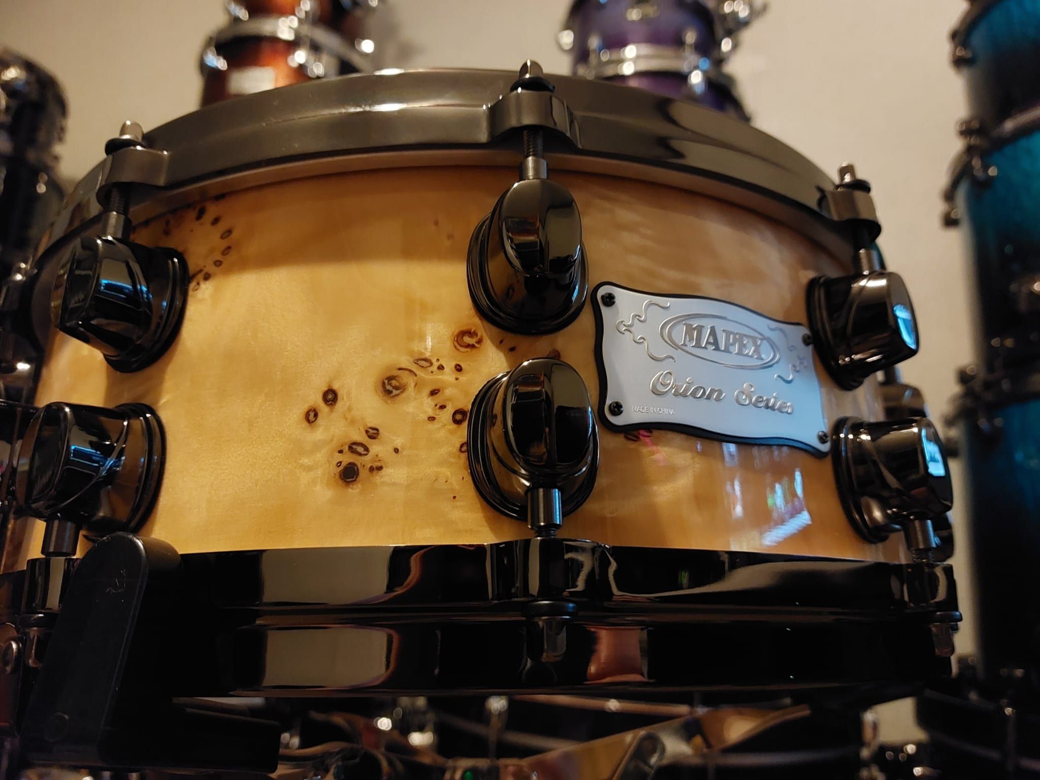 14 x 5.5 Orion - Mapa Burl