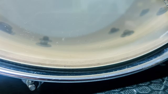 14 x 6.5 Thomann Dark Cherry Burl @ David O'Grady